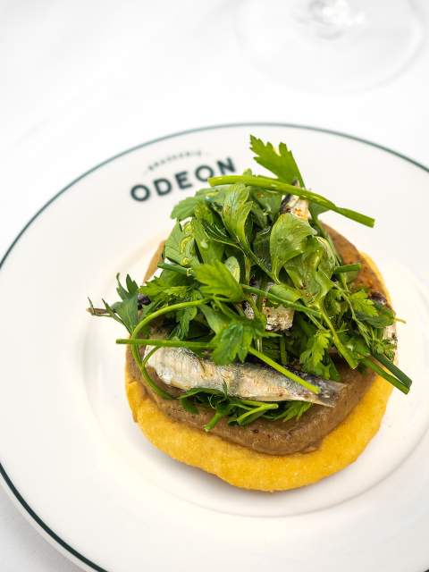 Galerie Photos, Café Restaurant Odéon à Genève